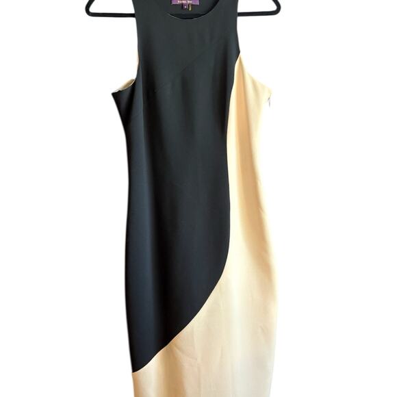 Rachel Roy size 6  Black and Cream colorblock Dress - Picture 2 of 8